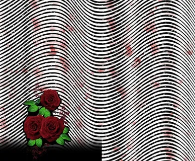 乱花 数码 印花 大牌 方巾图片