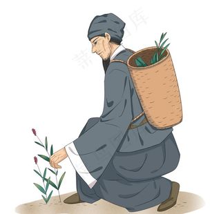 中医采药图片