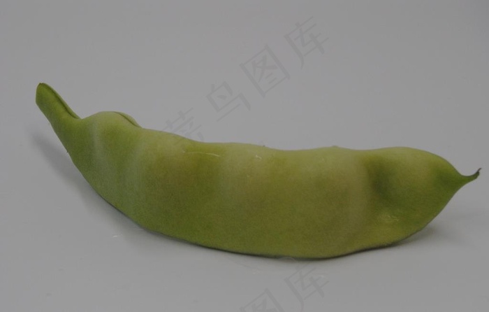 油豆角图片