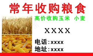 收购粮食图片