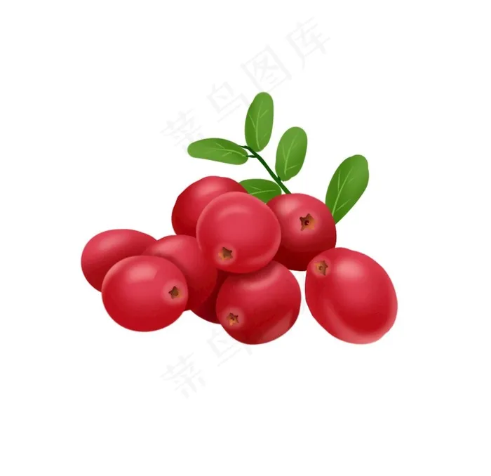 蔓越莓图片psd模版下载