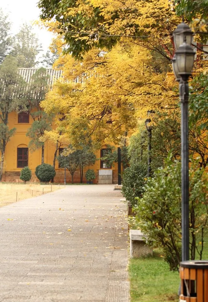 云南陆军讲武堂图片