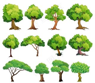 卡通树图片