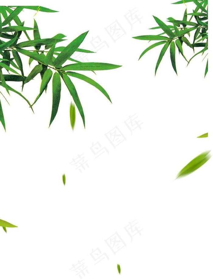竹叶图片cdr矢量模版下载