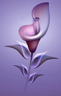 花图片 花图片