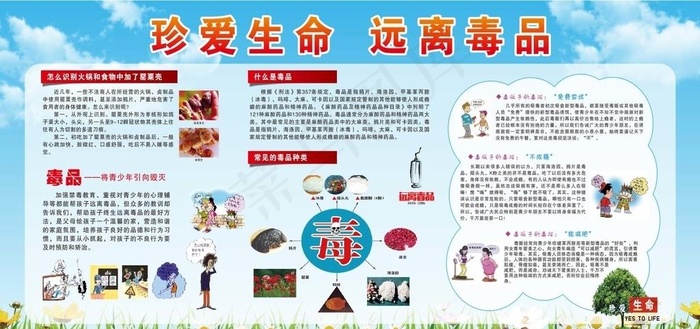 禁毒海报 禁毒展板 禁毒知识图片