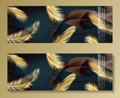 羽毛装饰画图片