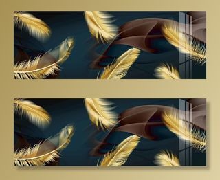 羽毛装饰画图片