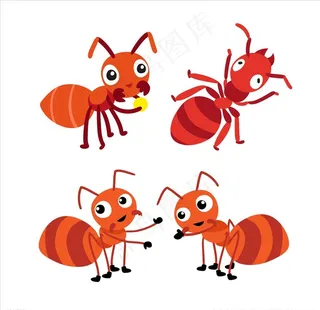 蚂蚁图片