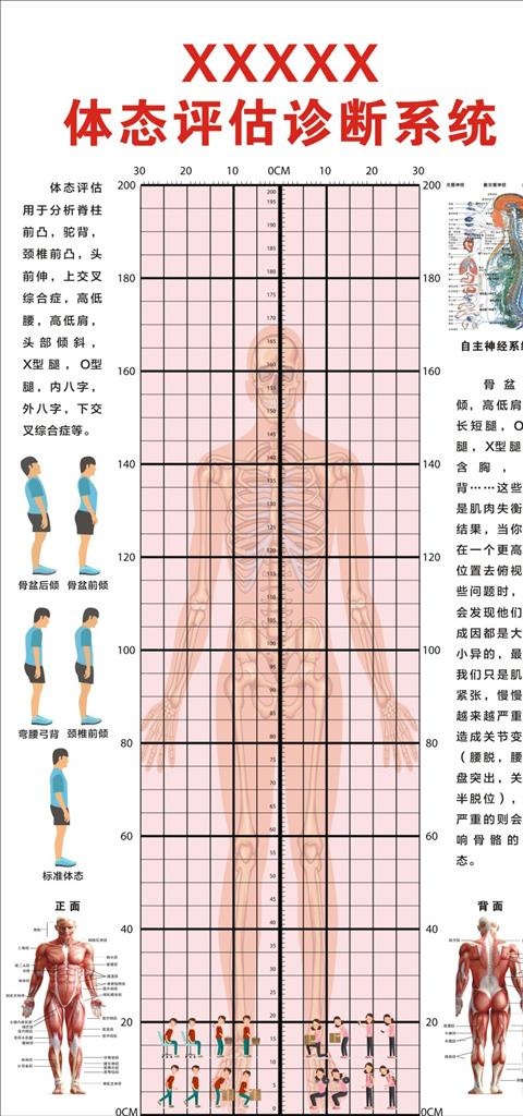 体态评估诊断系统图片(1200X2400)cdr矢量模版下载