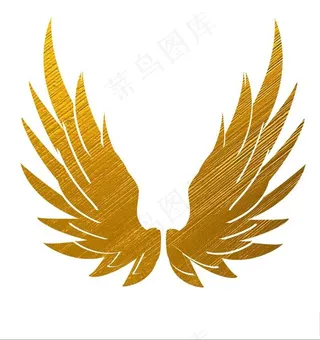 金色翅膀图片
