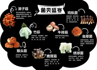 菌类盛宴图片