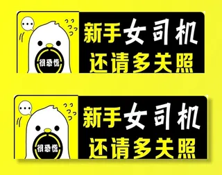 新手女司机图片