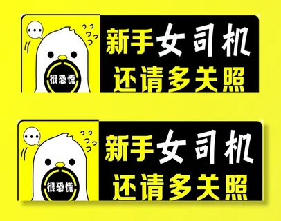 新手女司机图片 新手女司机图片