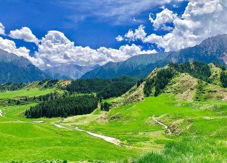 张掖肃南大都麻图片