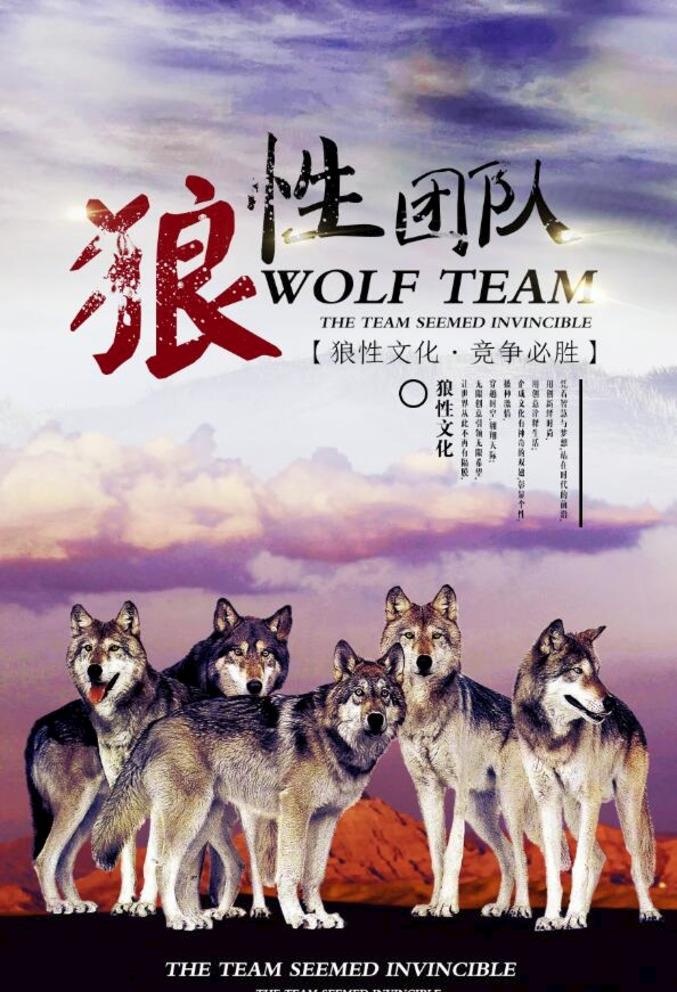 狼性文化图片