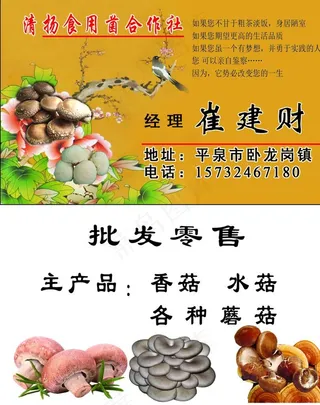 名片 菌菇图片