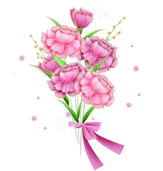 金边粉色康乃馨图片