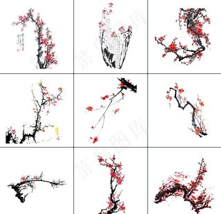 梅花 梅花素材 梅花元素图片