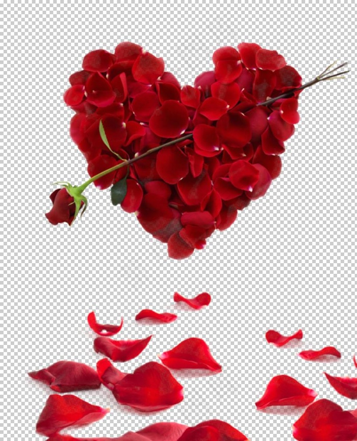 心形玫瑰图片