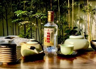 龙窝楼品茶图片