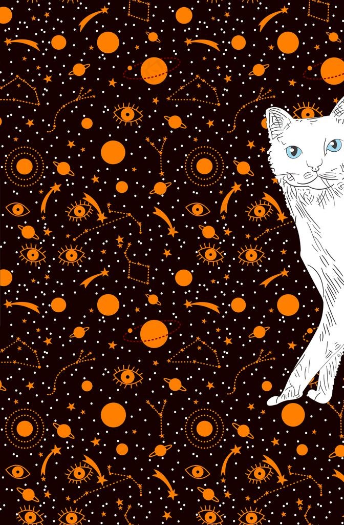 小猫图片