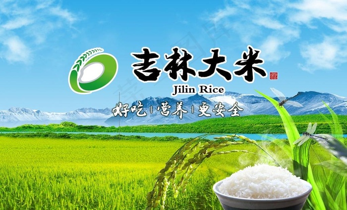 吉林大米图片(4016X2598(DPI:300))psd模版下载