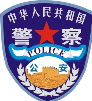 *系统警察臂章图片