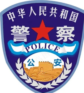 *系统警察臂章图片 *系统警察臂章图片