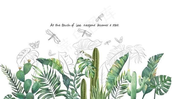 北欧风格植物图片 北欧风格植物图片