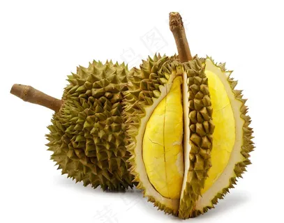 榴莲图片 榴莲图片