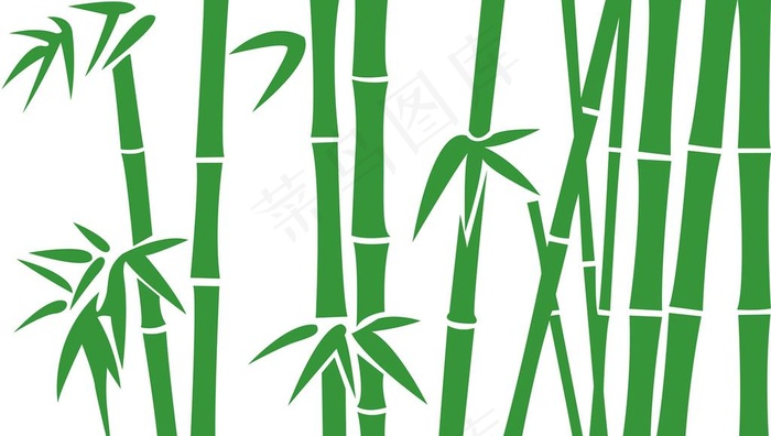 竹子图片