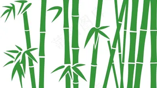 竹子图片