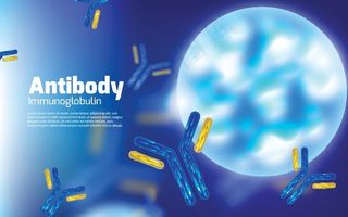 抗体图片