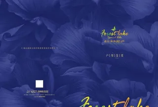 房地产户型折页图片