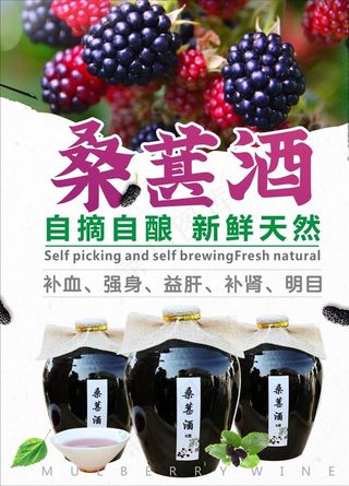 桑葚酒海报图片