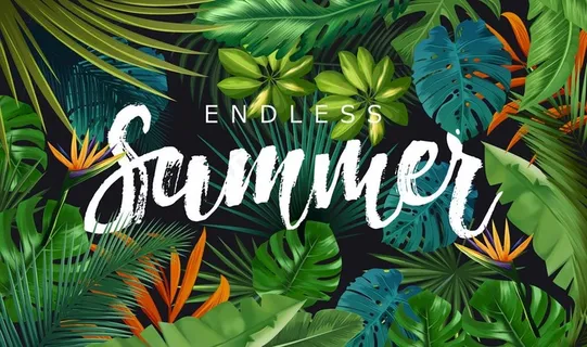 热带雨林背景墙图片