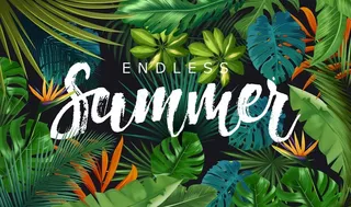 热带雨林背景墙图片