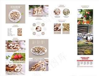 腰果详情页图片