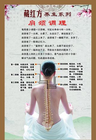 藏红方肩部图片