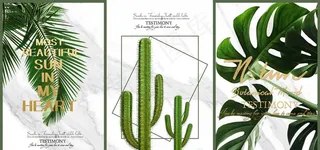 清爽小清新植物装饰画图片