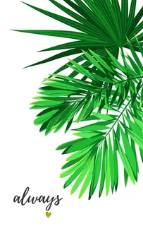 北欧装饰画图片