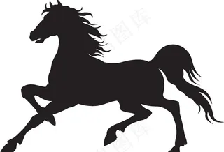 骏马图片