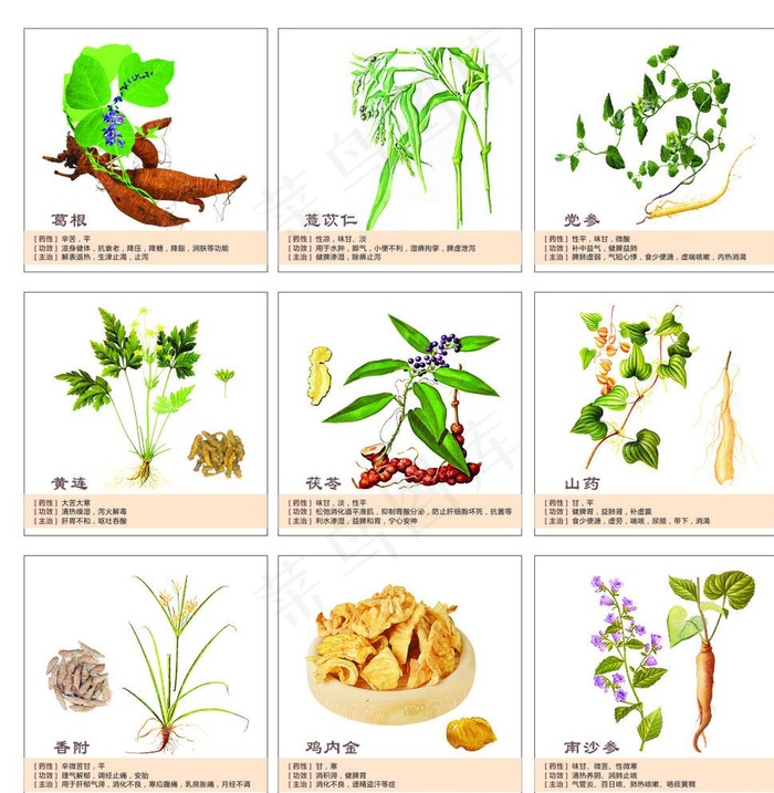 中药画框图图片