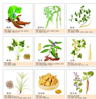 中药画框图图片 中药画框图图片