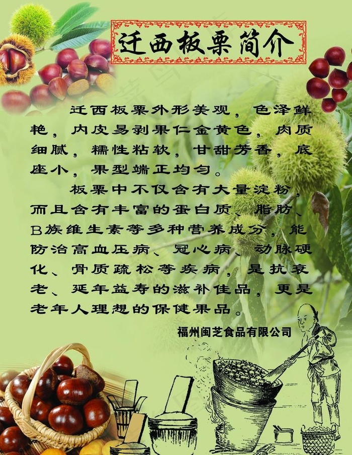 迁西板栗简介图片psd模版下载