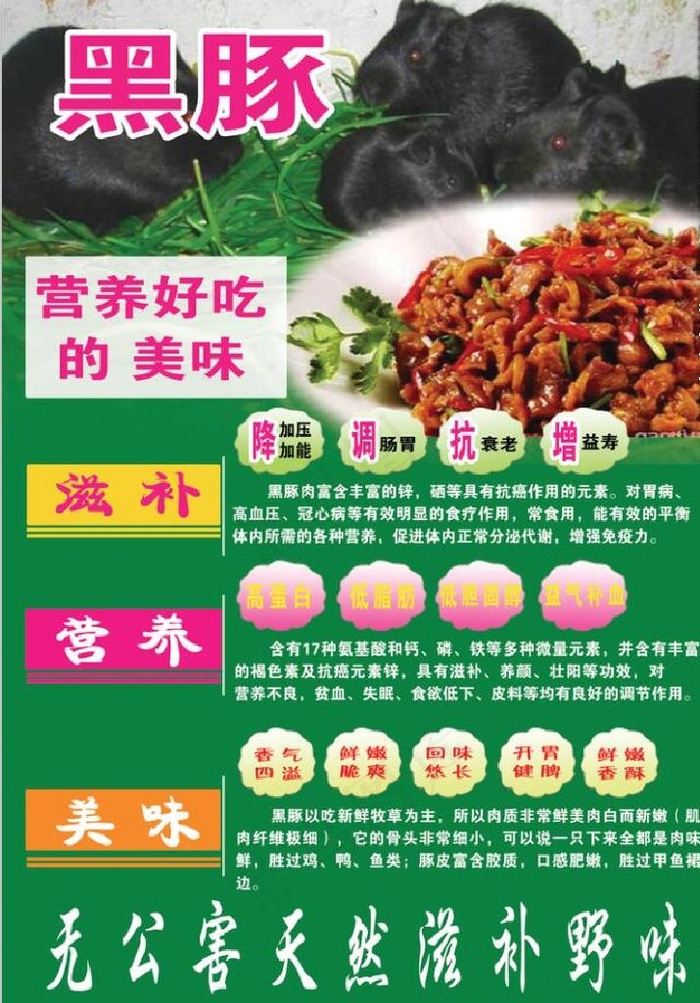 黑豚图片psd模版下载