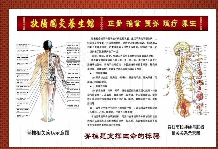 中医理疗养生馆挂图图片ai矢量模版下载