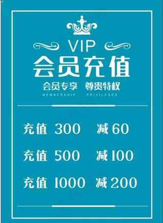 会员充值 VIP图片