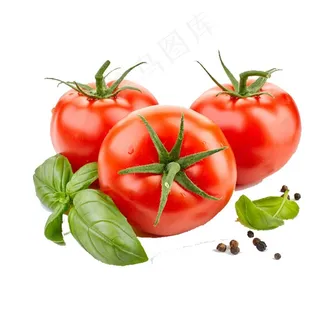 番茄图片